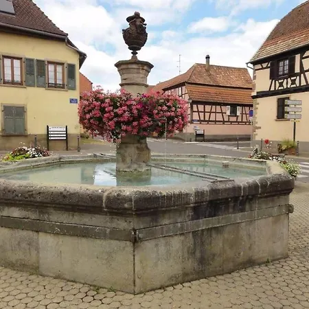 Maison à Colombages - Coeur De L'alsace * Bischoffsheim