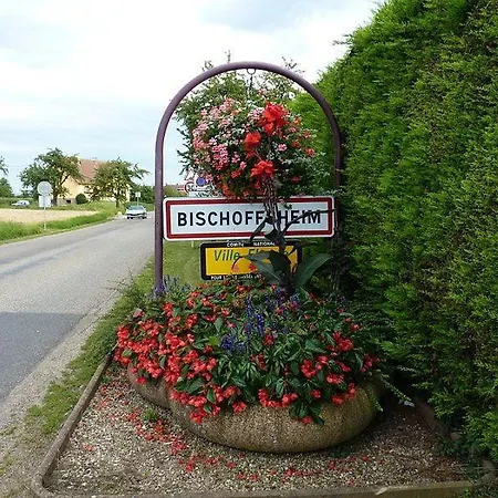 Maison à Colombages - Coeur De L'alsace * Bischoffsheim