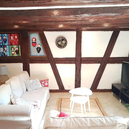 Maison à Colombages - Coeur De L'alsace * Bischoffsheim