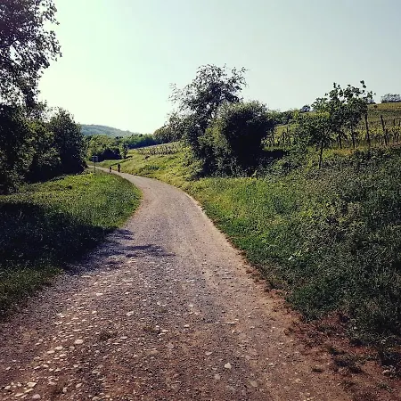 Apartamento Maison à Colombages - Coeur De L'alsace *